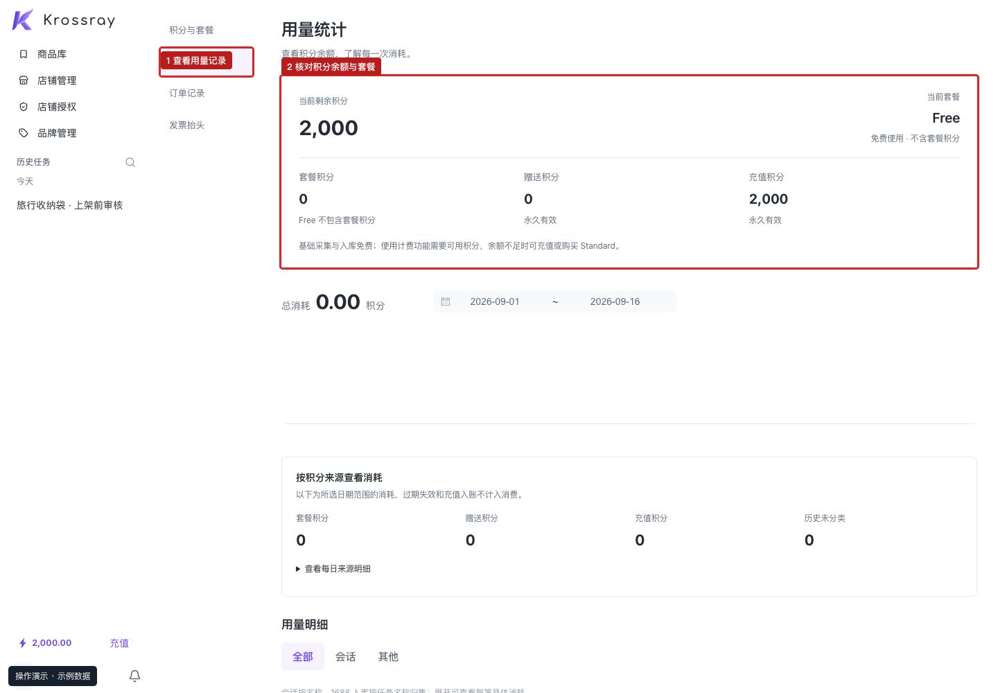 账户用量页面：查看使用记录，并通过导航进入套餐与开票功能。